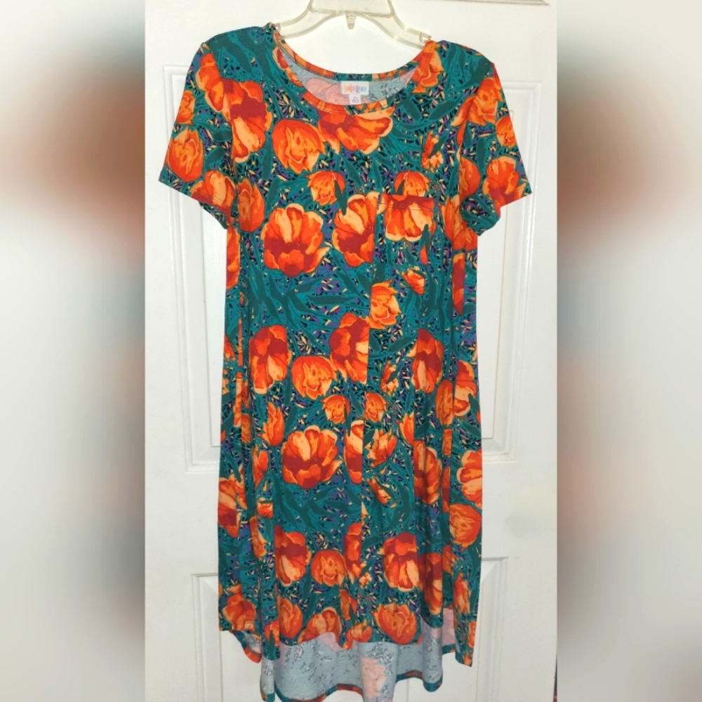 Lularoe LLR Carly Dress XS